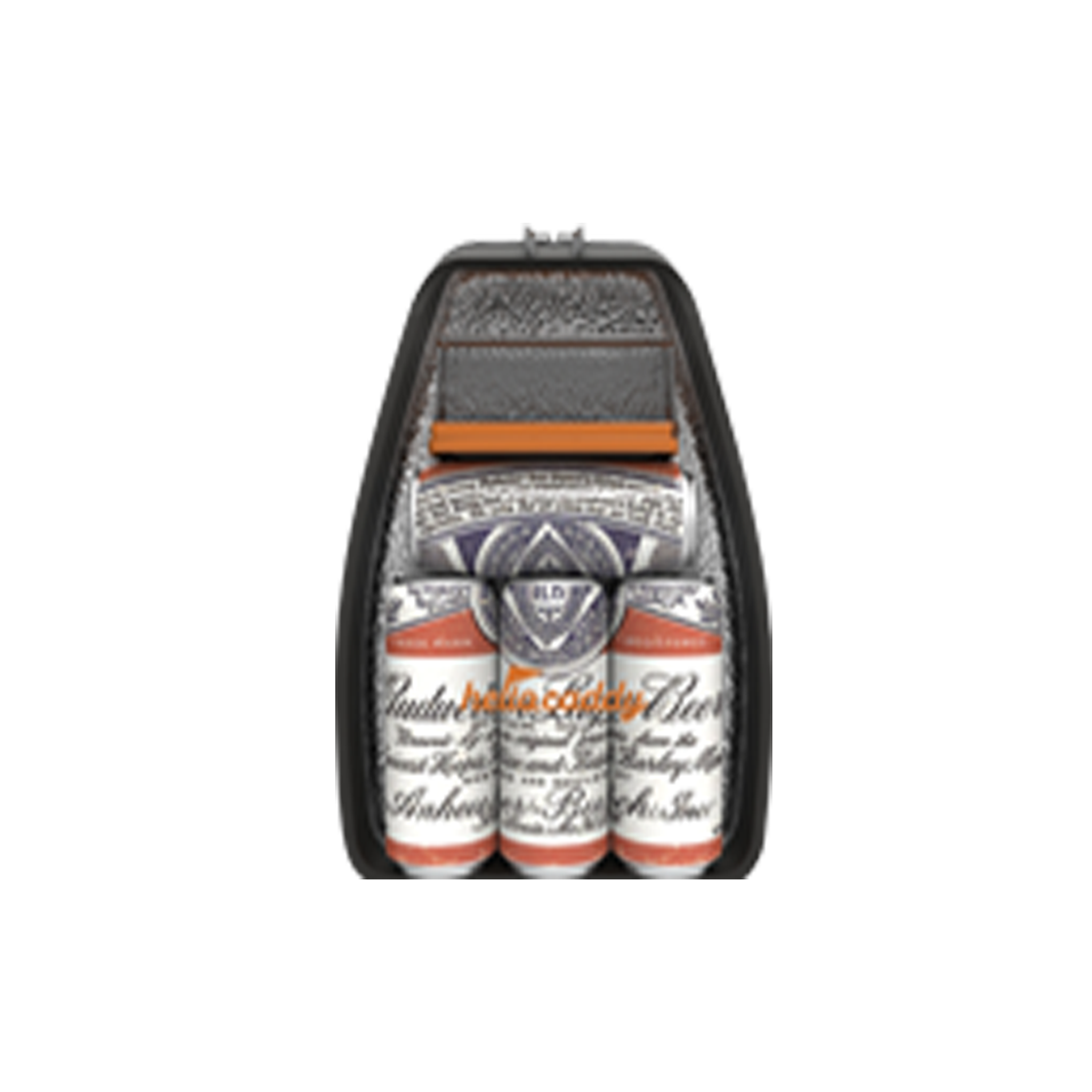 Cooler Bag